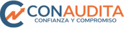 Conaudita Logo